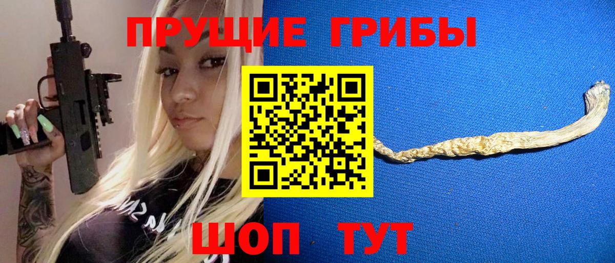 Галлюциногенные грибы Psilocybe Екатеринбург