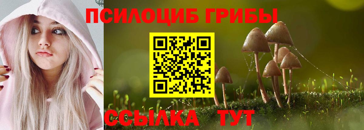 Галлюциногенные грибы MAGIC MUSHROOMS  Галлюциногенные грибы Psilocybine cubensis  Екатеринбург  Вход с VPN 